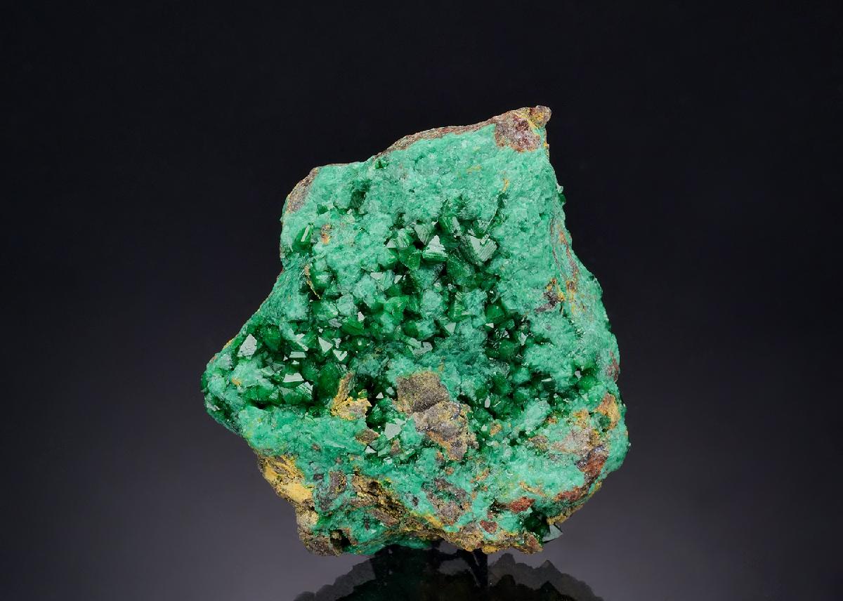 CC53220 specimen image