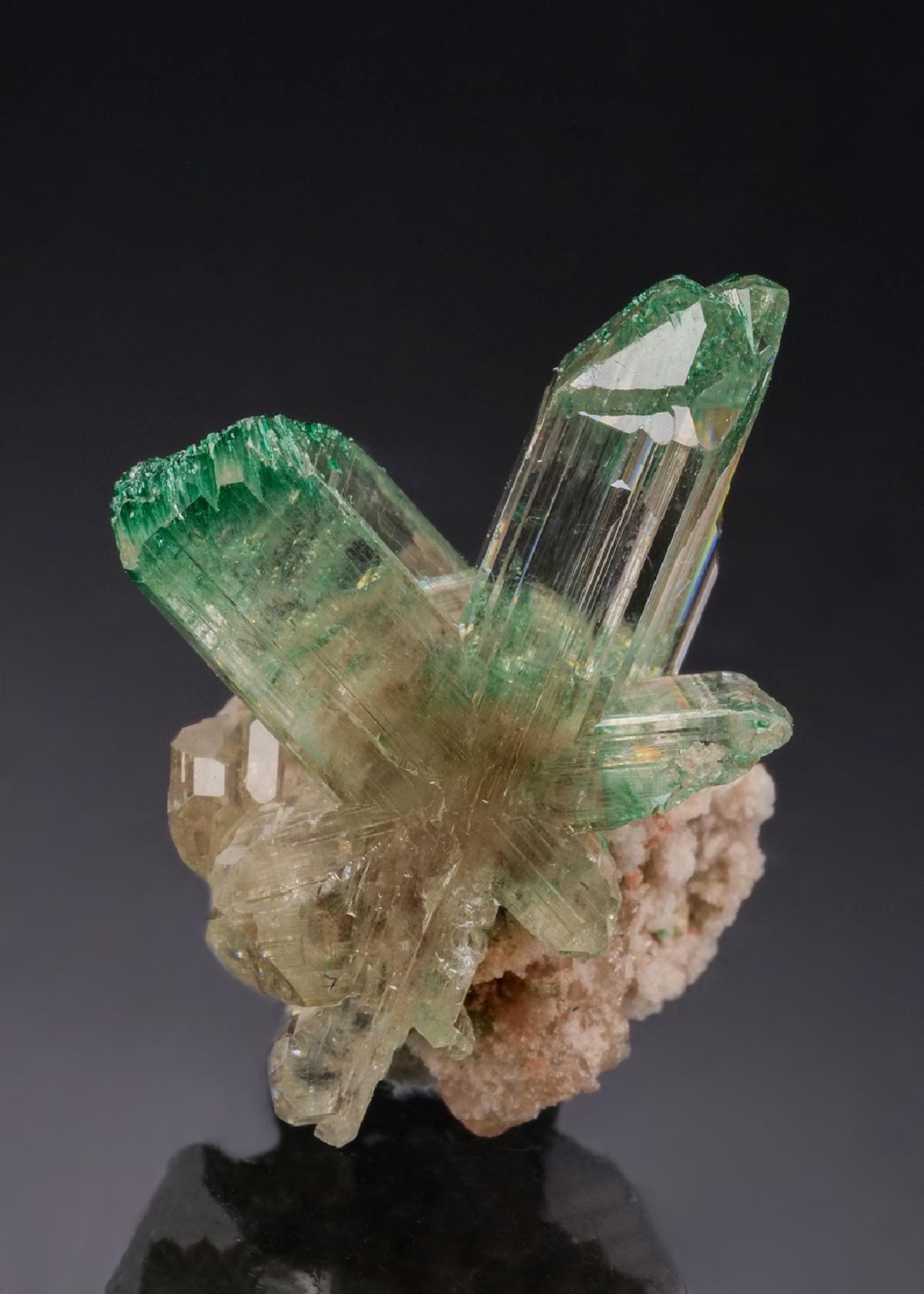 CC53224 specimen image