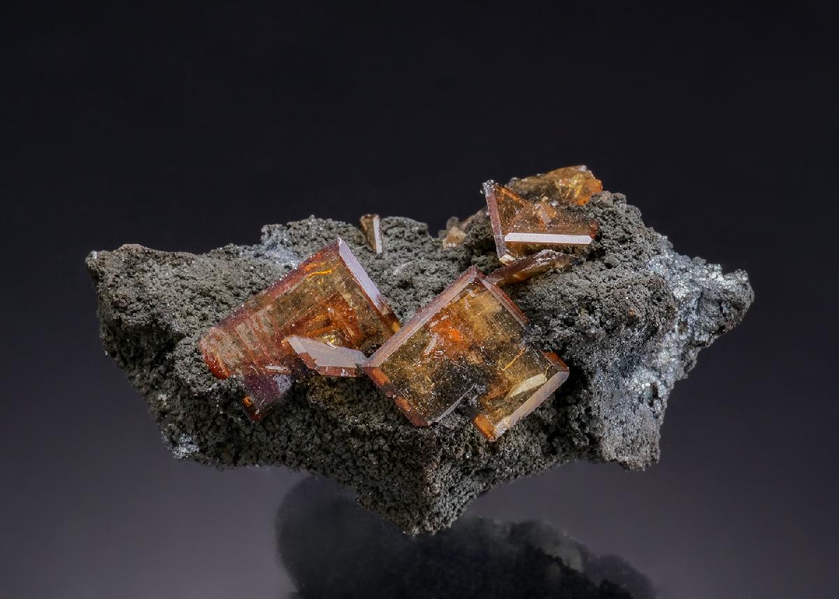 CC53230 specimen image