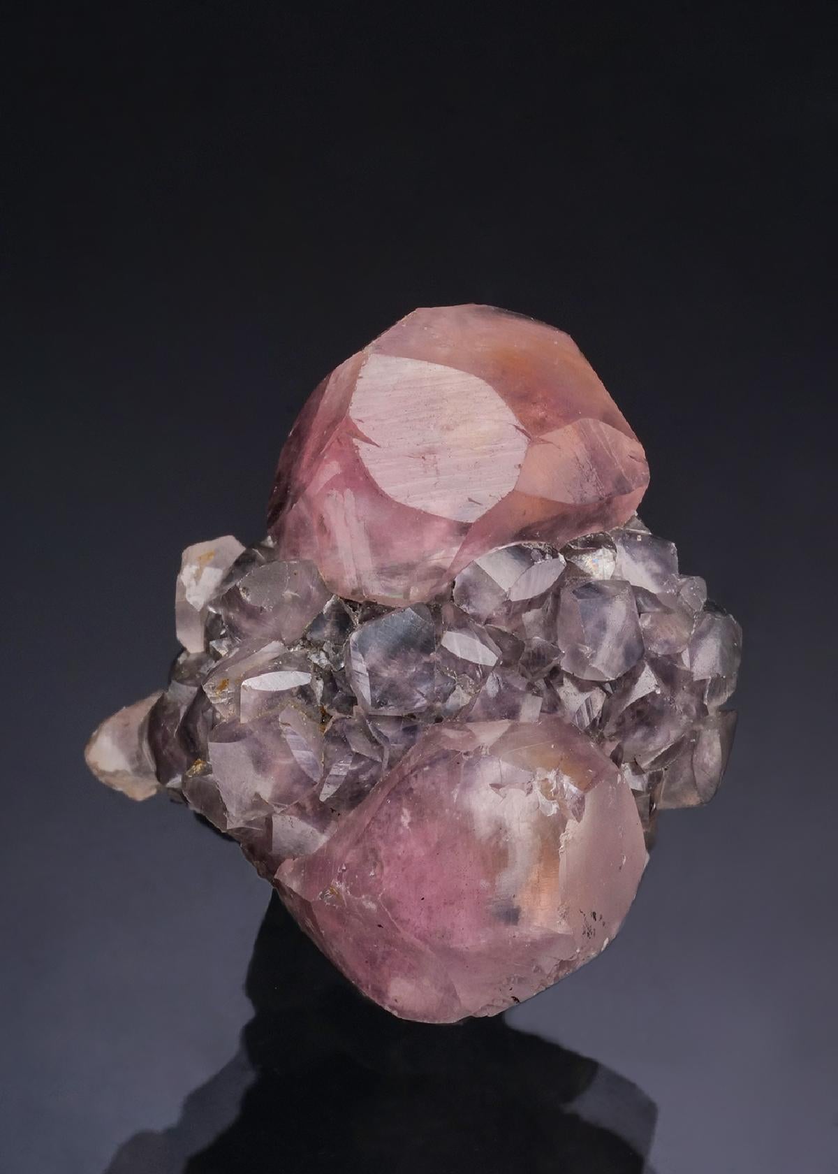 CC53266 specimen image