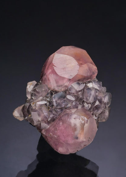 CC53266 specimen image
