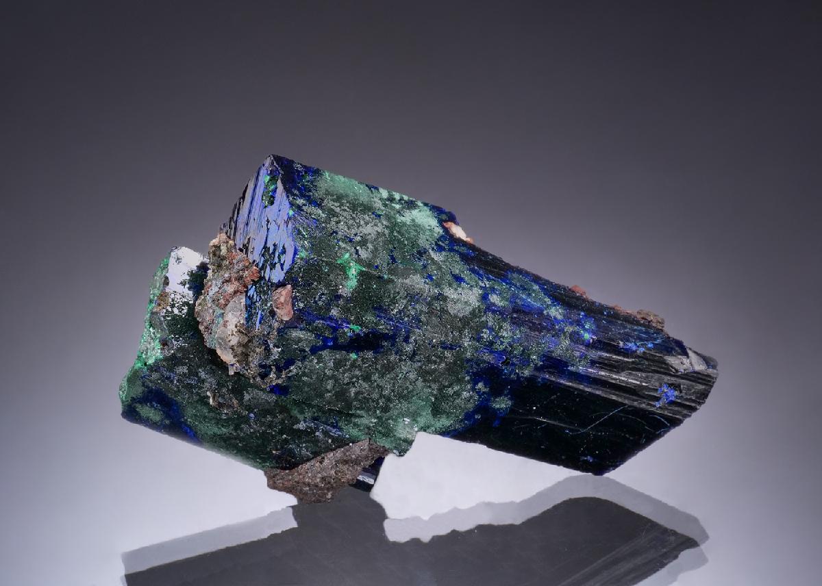 CC53286 specimen image