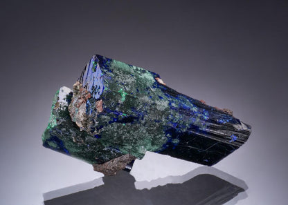CC53286 specimen image