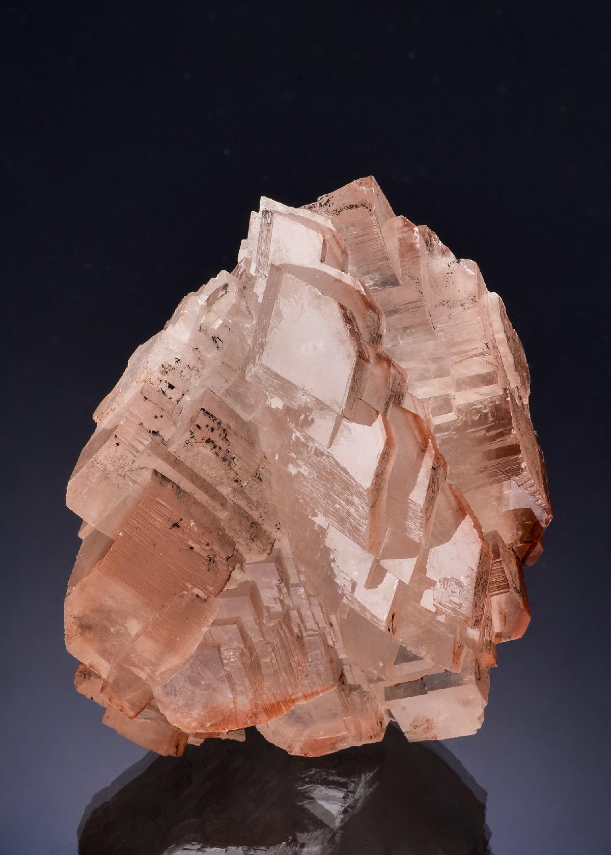 CC53324 specimen image