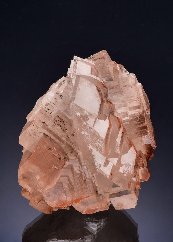 CC53324 specimen image