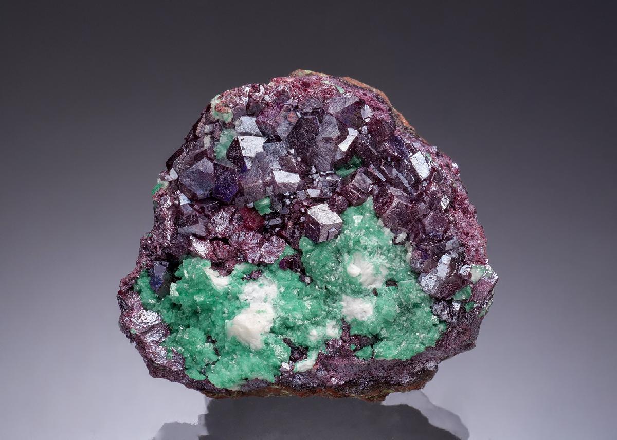 CC53330 specimen image