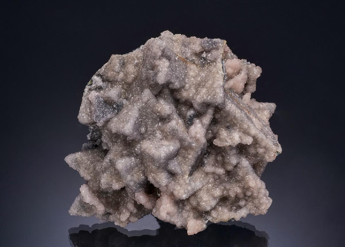 CC53342 specimen image