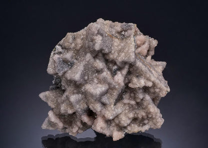 CC53342 specimen image
