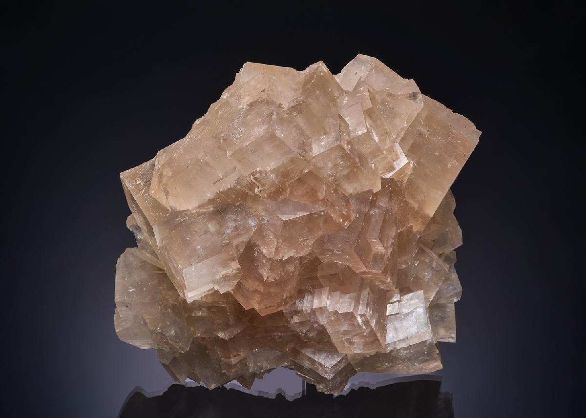 CC53392 specimen image