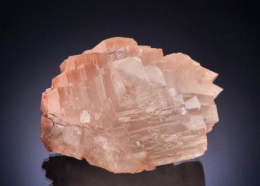 CC53396 specimen image
