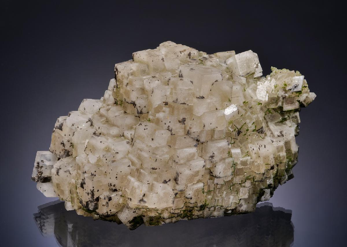 CC53398 specimen image