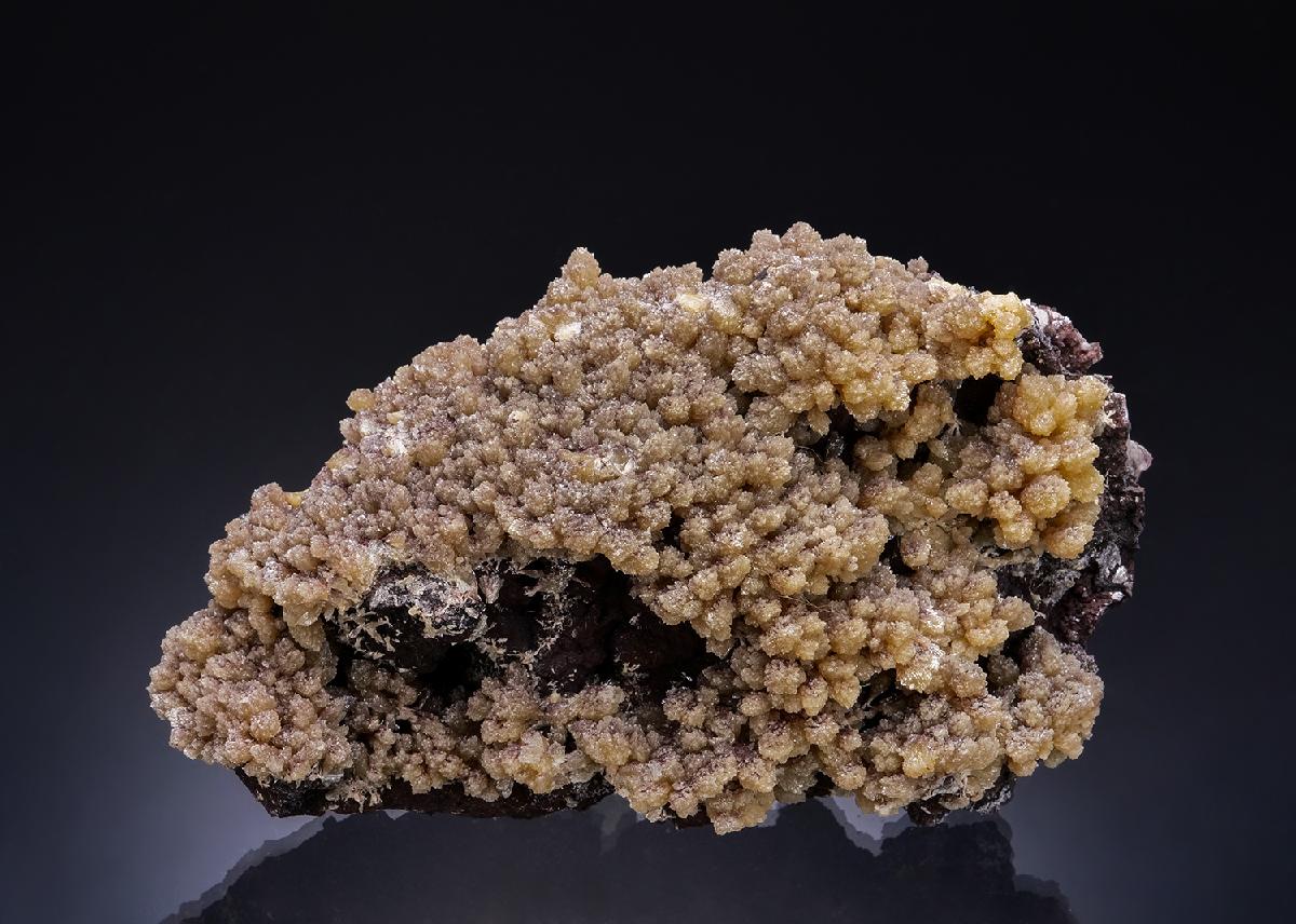 CC53400 specimen image