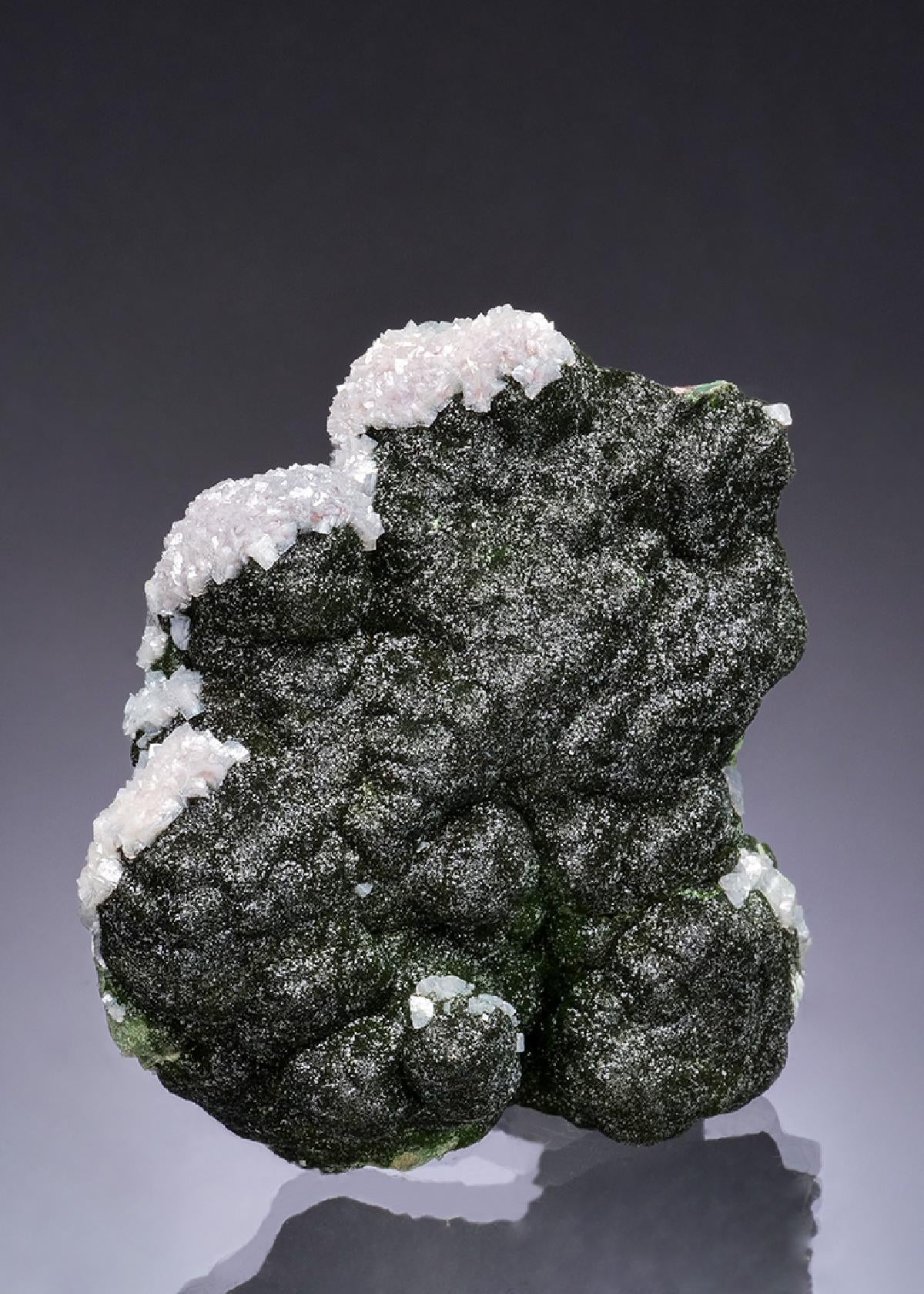 CC53408 specimen image