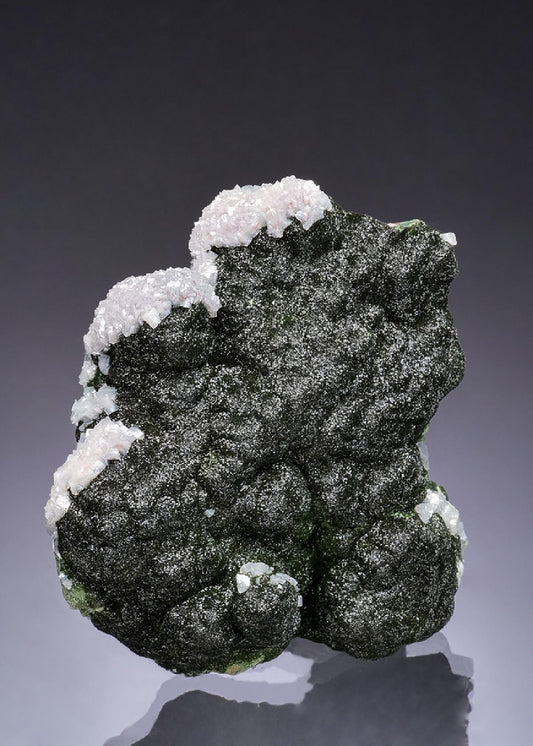 CC53408 specimen image