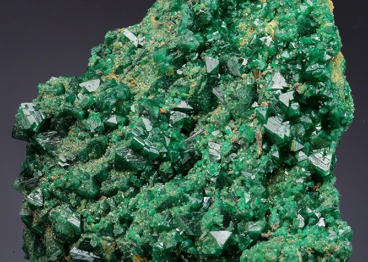 CC53420 specimen image