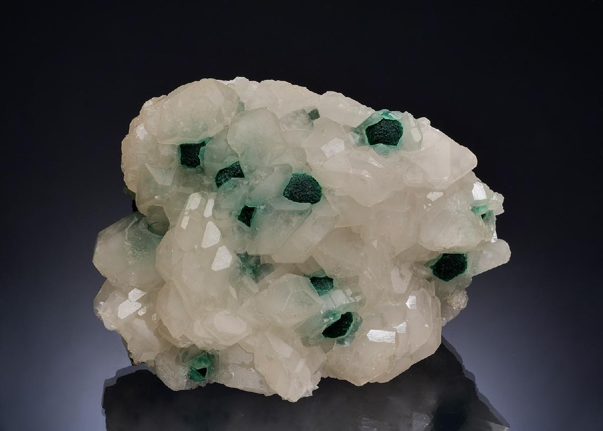 CC53432 specimen image