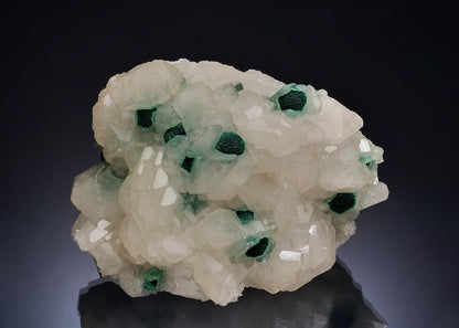 CC53432 specimen image
