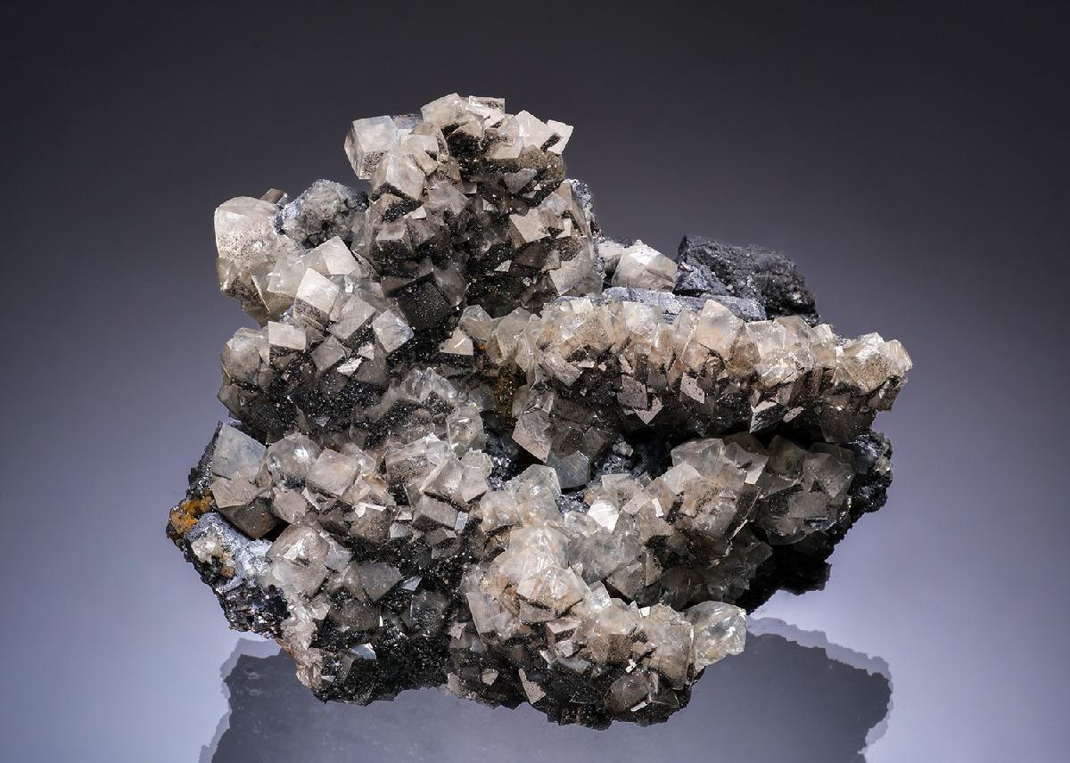 CC53438 specimen image