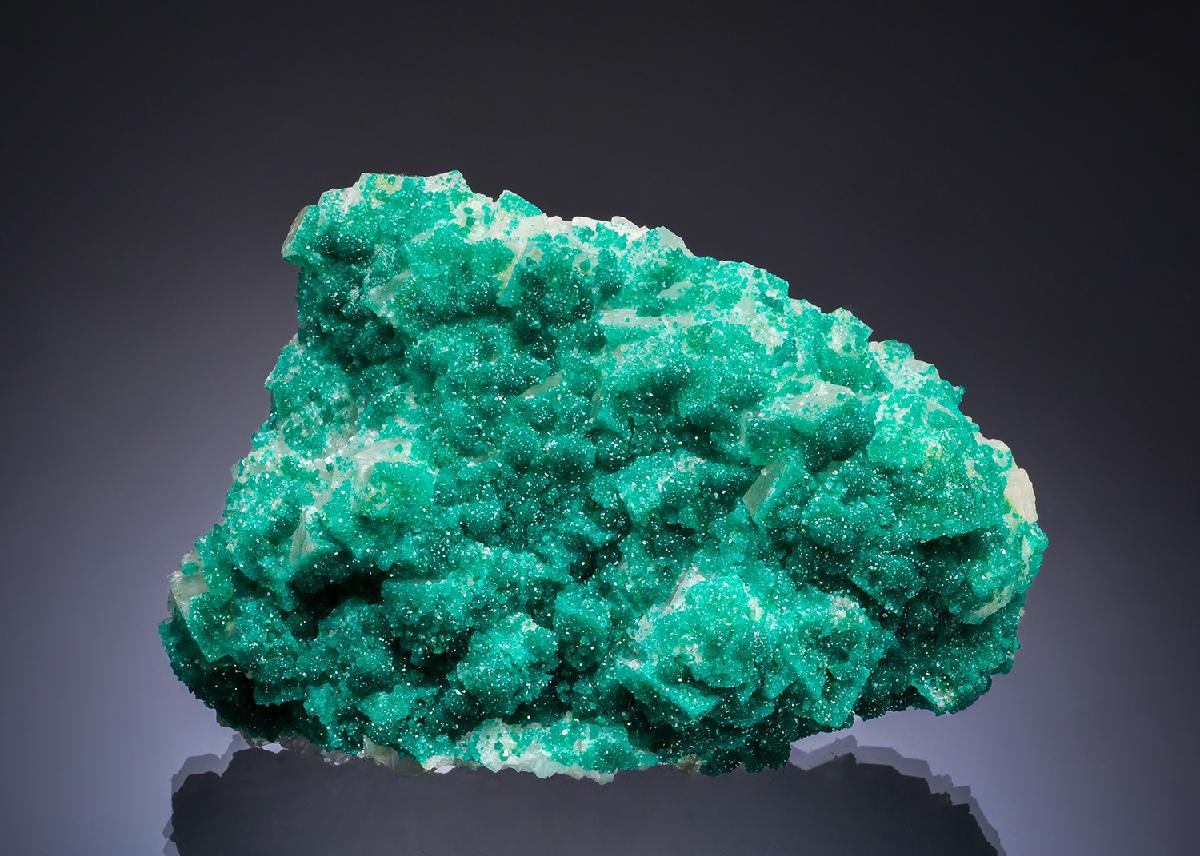 CC53446 specimen image