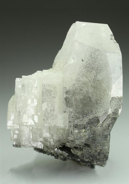 CC5345 specimen image
