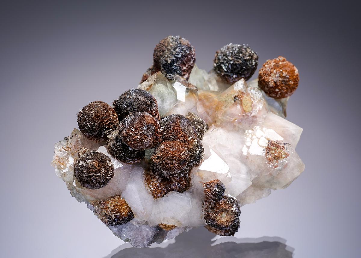 CC53452 specimen image