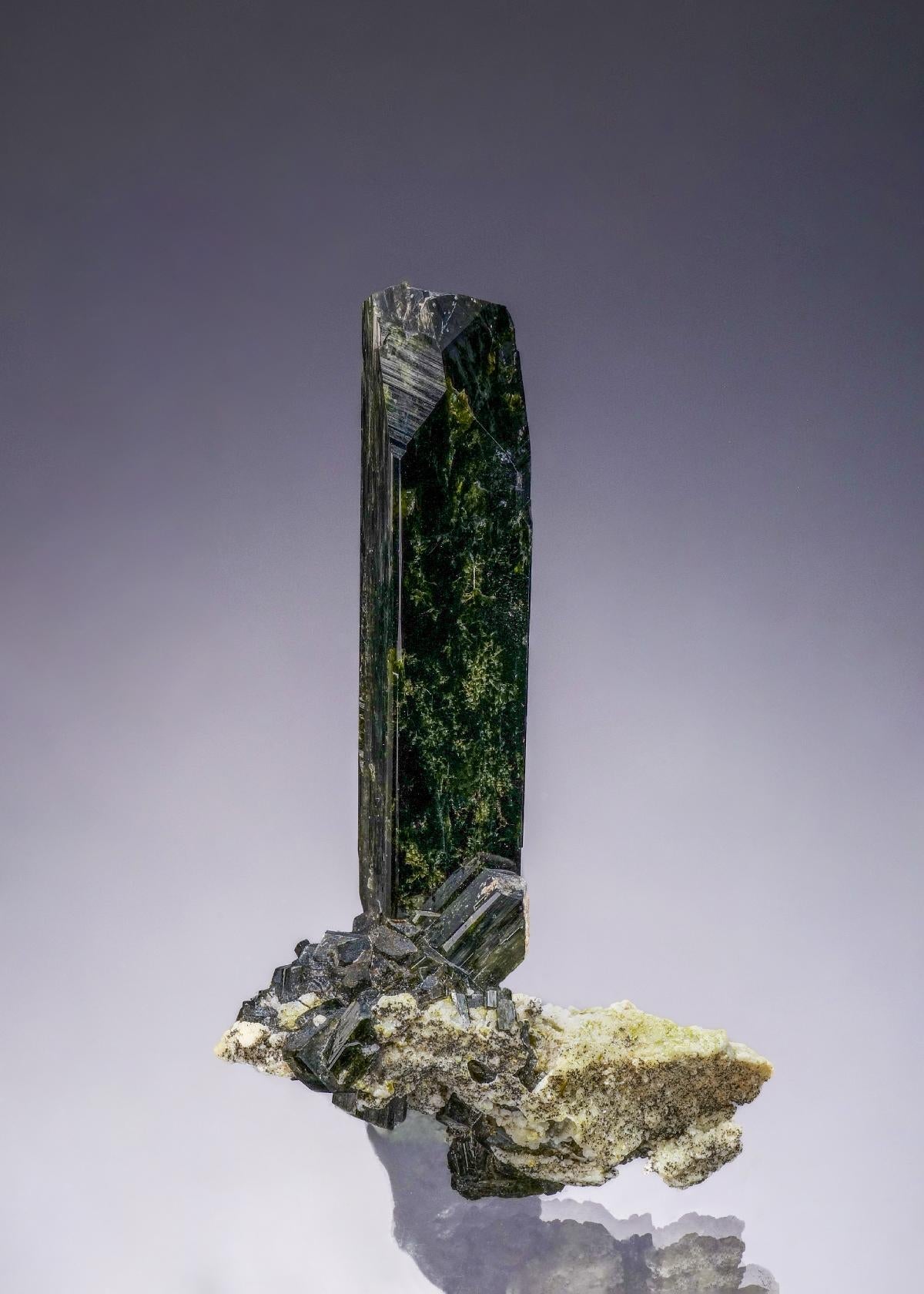 CC53456 specimen image