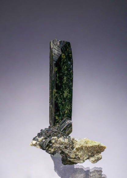 CC53456 specimen image