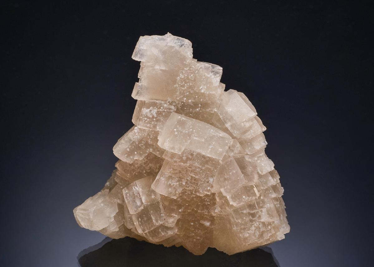 CC53466 specimen image