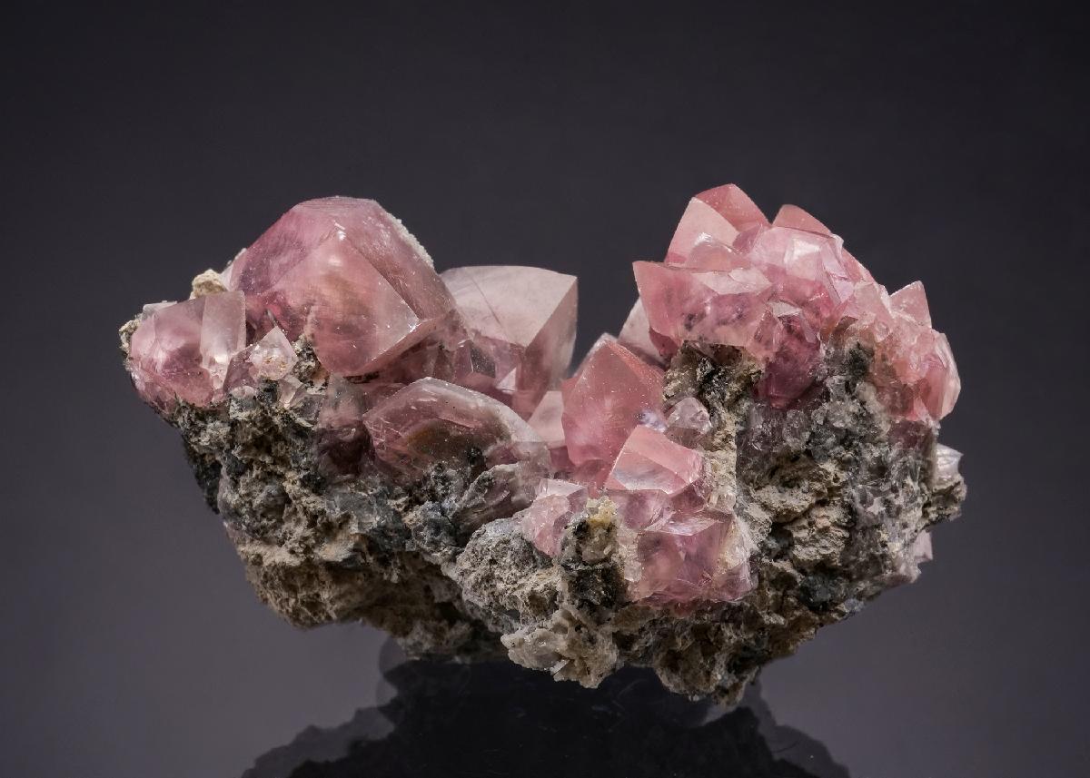 CC53514 specimen image