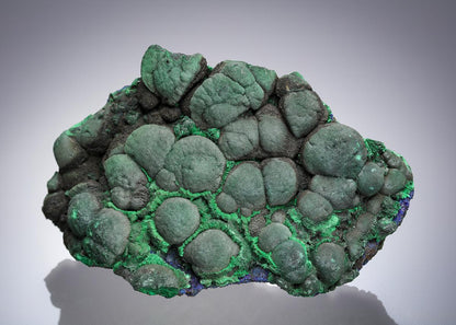 CC5354 specimen image