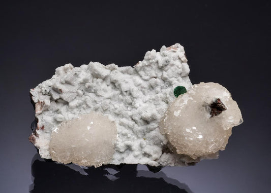 CC53558 specimen image