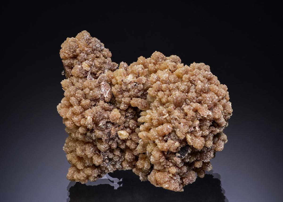 CC53560 specimen image