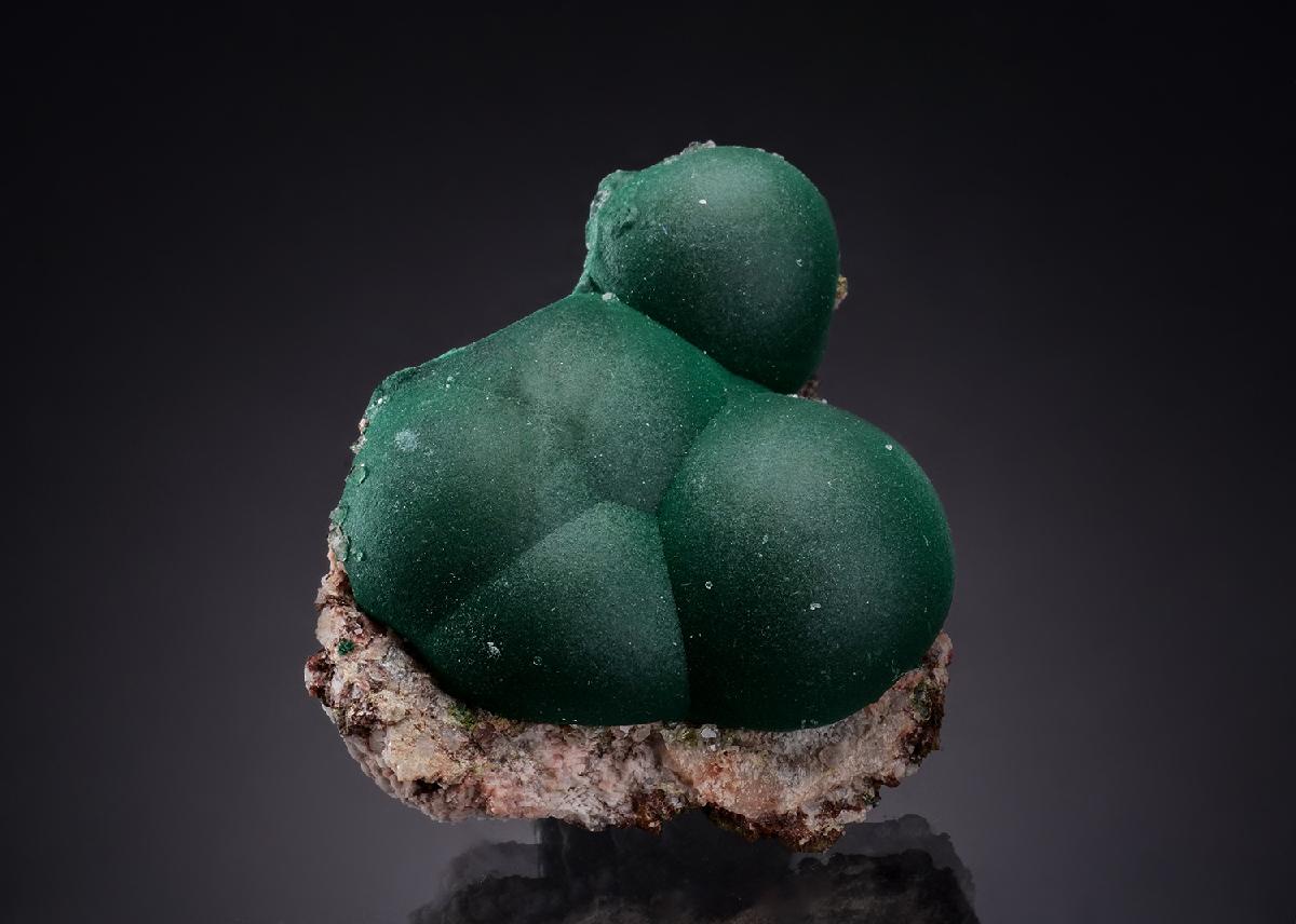 CC53582 specimen image