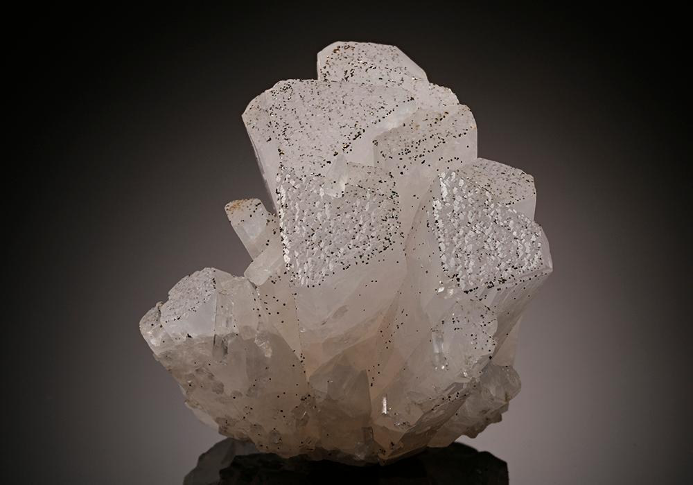 CC5363 specimen image