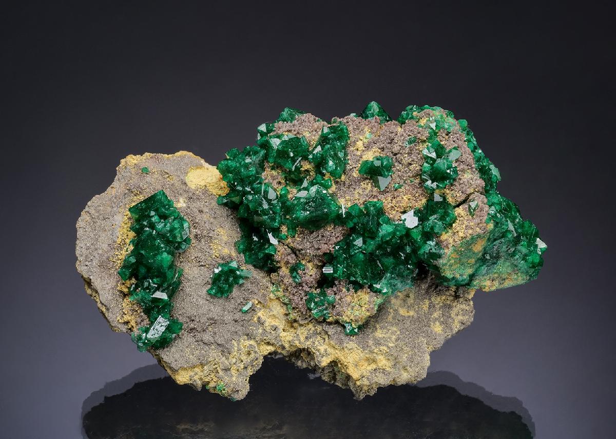 CC53632 specimen image