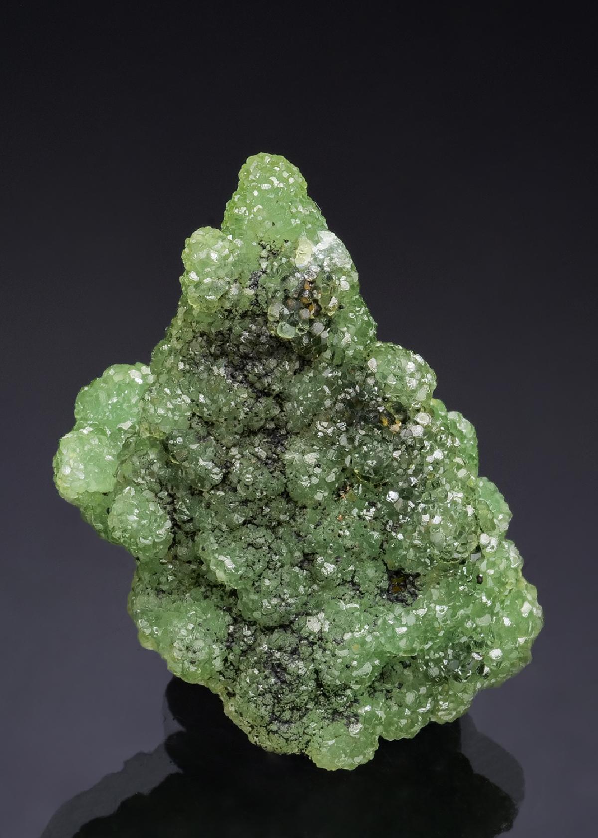 CC53636 specimen image