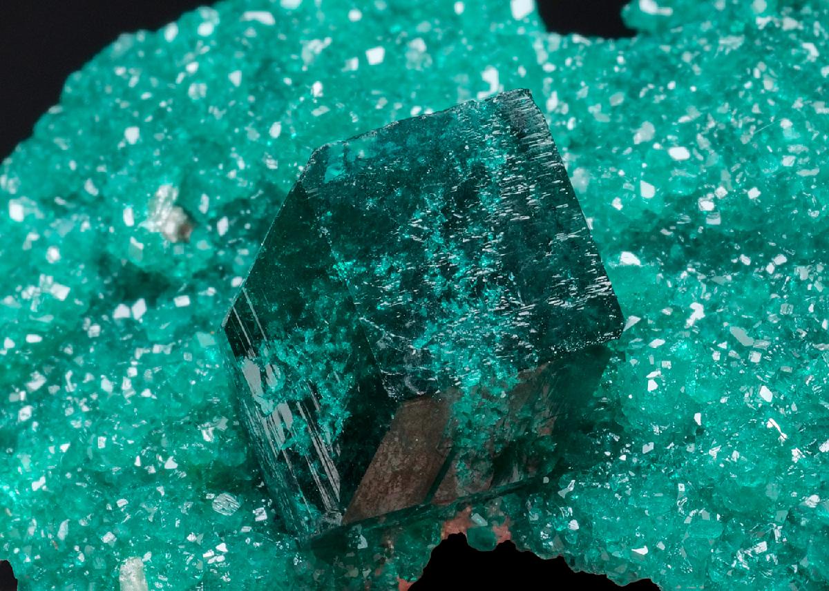 CC53704 specimen image
