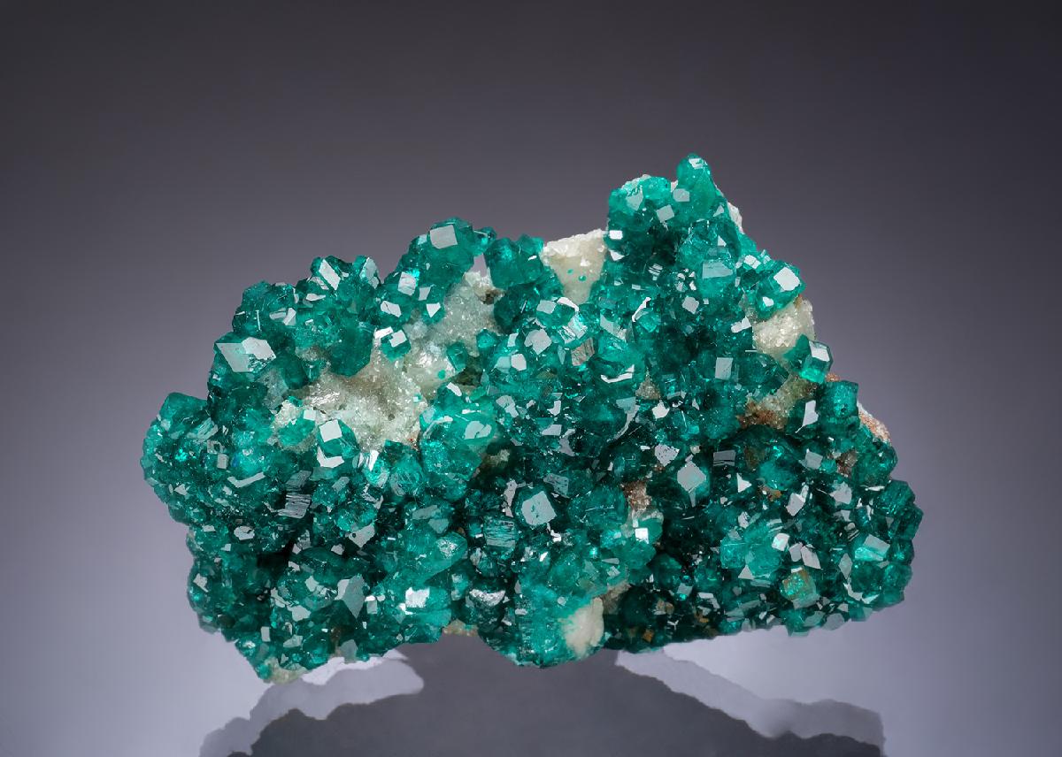 CC53714 specimen image