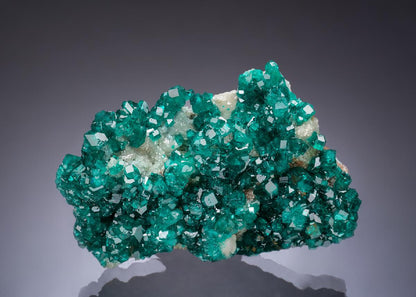 CC53714 specimen image