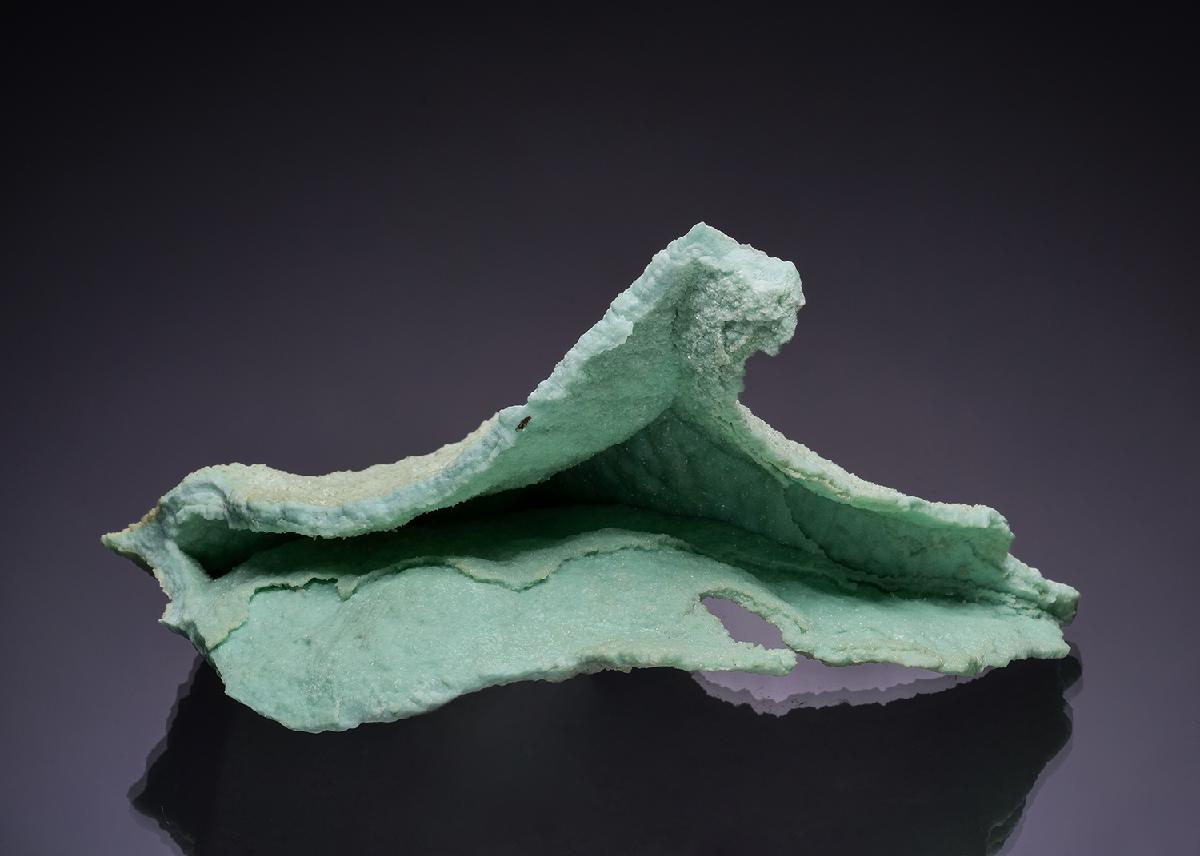 CC53740 specimen image