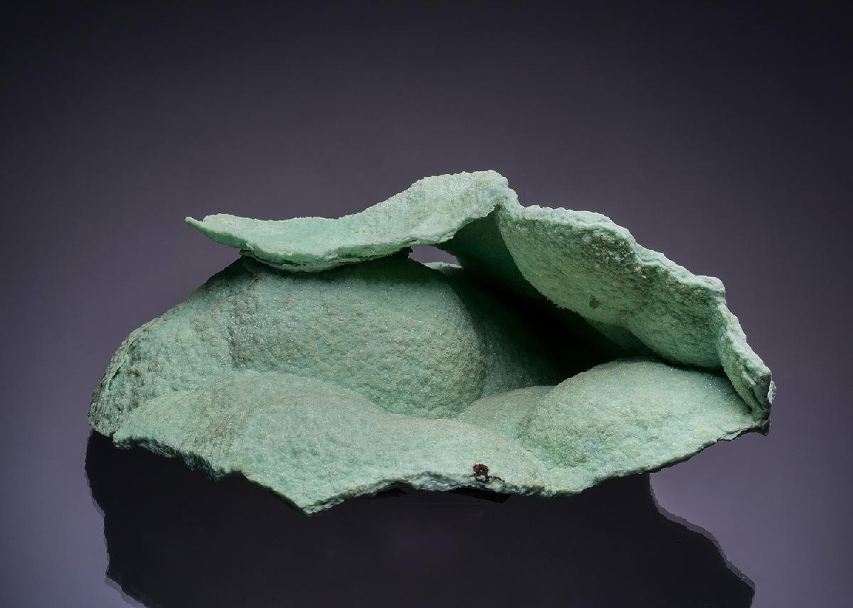 CC53746 specimen image
