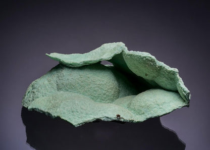 CC53746 specimen image