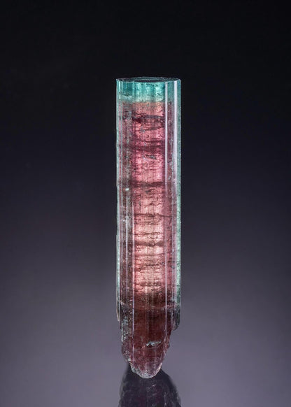 CC53756 specimen image
