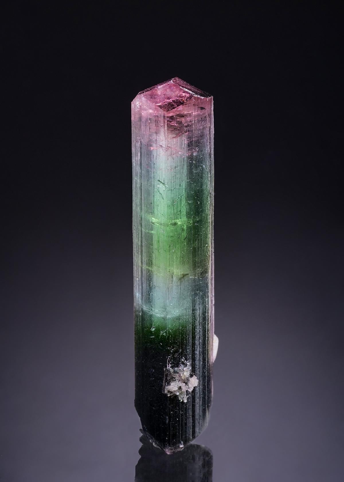 CC53762 specimen image