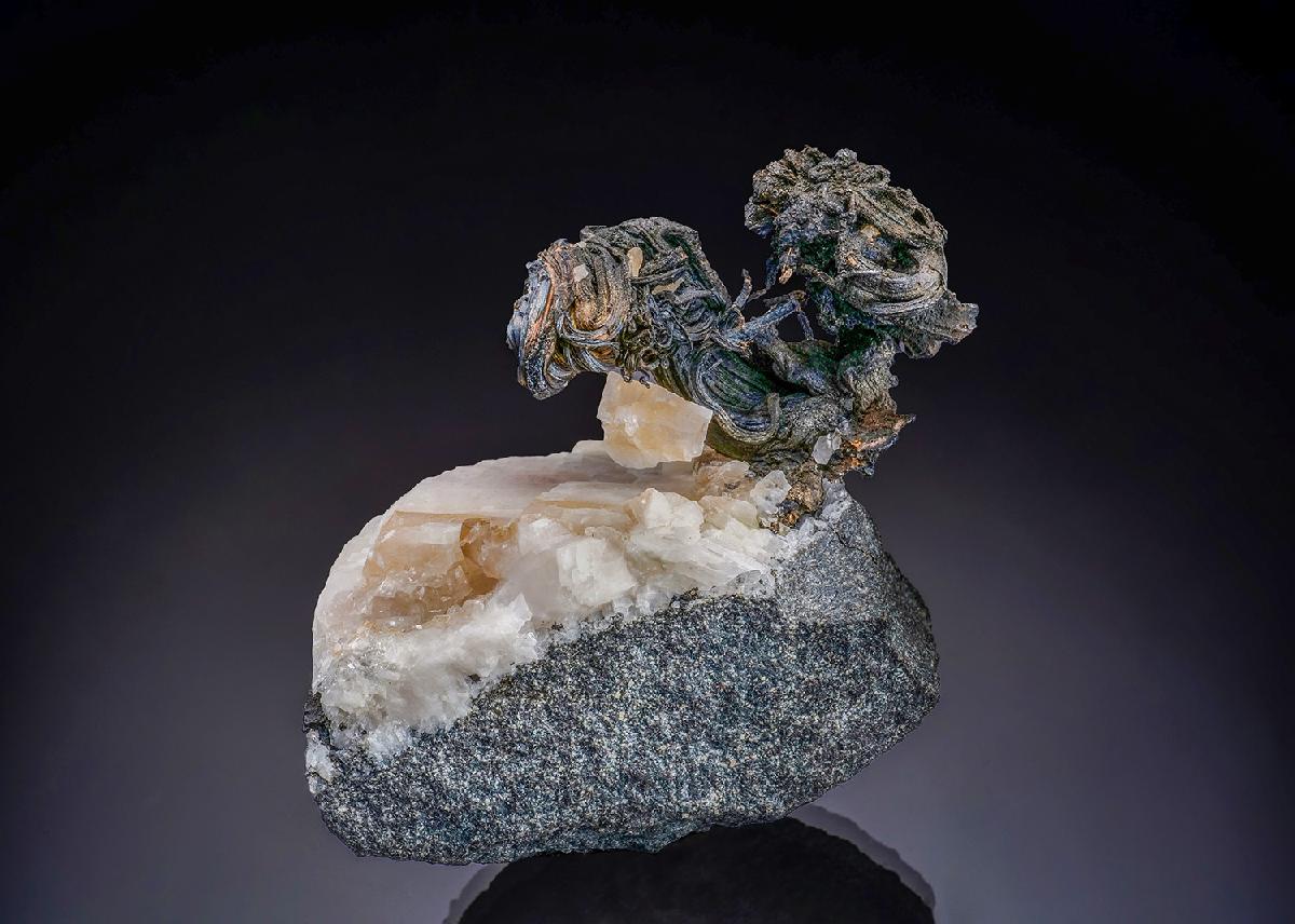 CC53764 specimen image