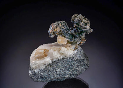 CC53764 specimen image