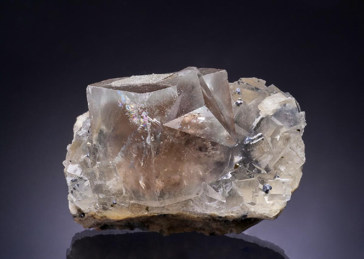 CC53772 specimen image