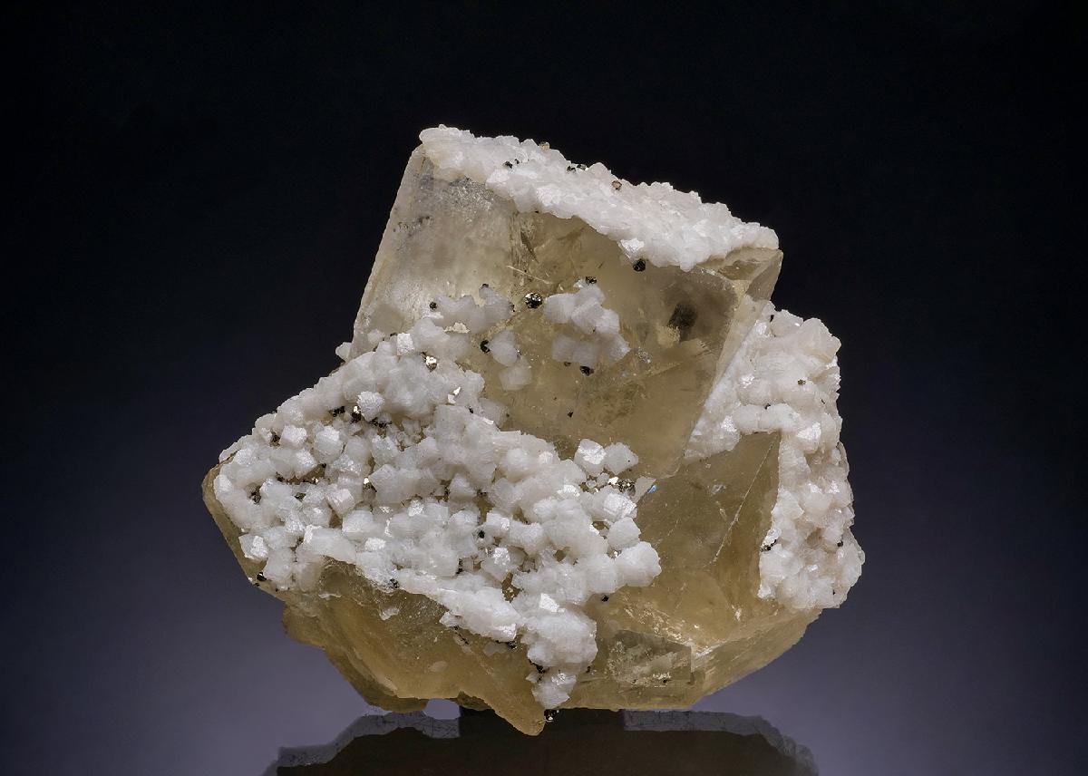 CC53774 specimen image