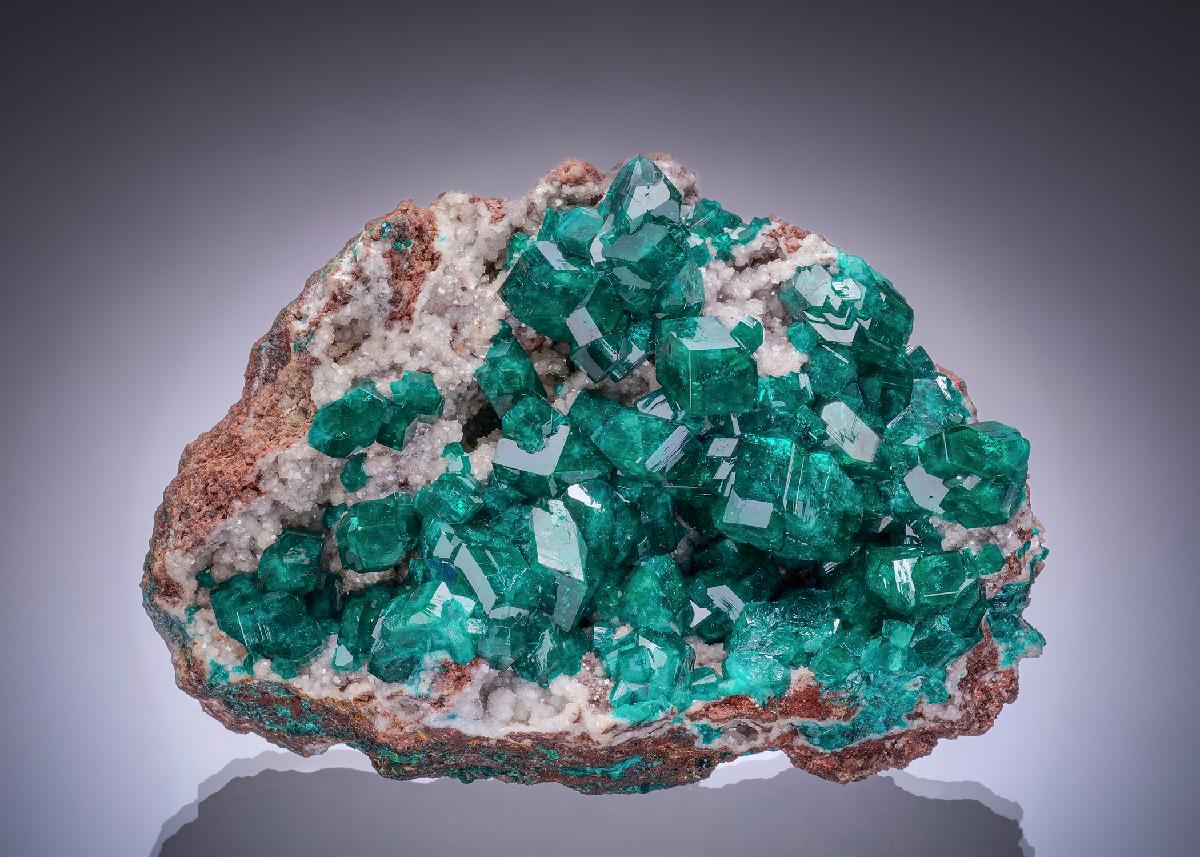 CC53811 specimen image