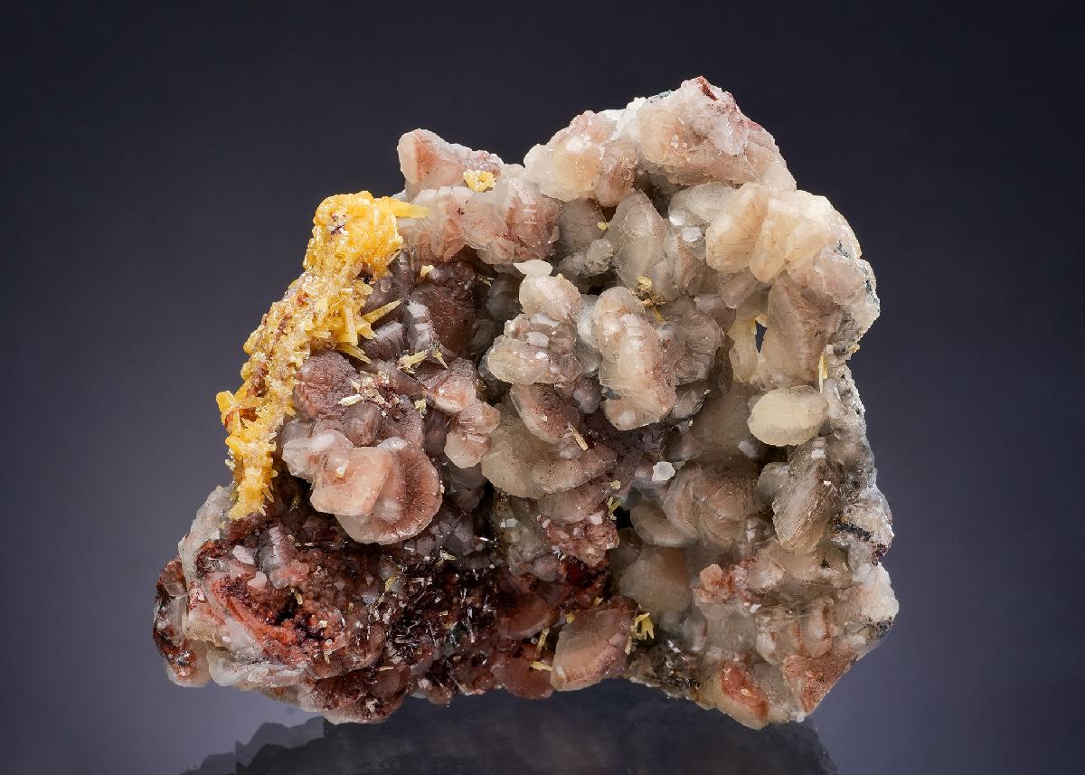 CC53812 specimen image